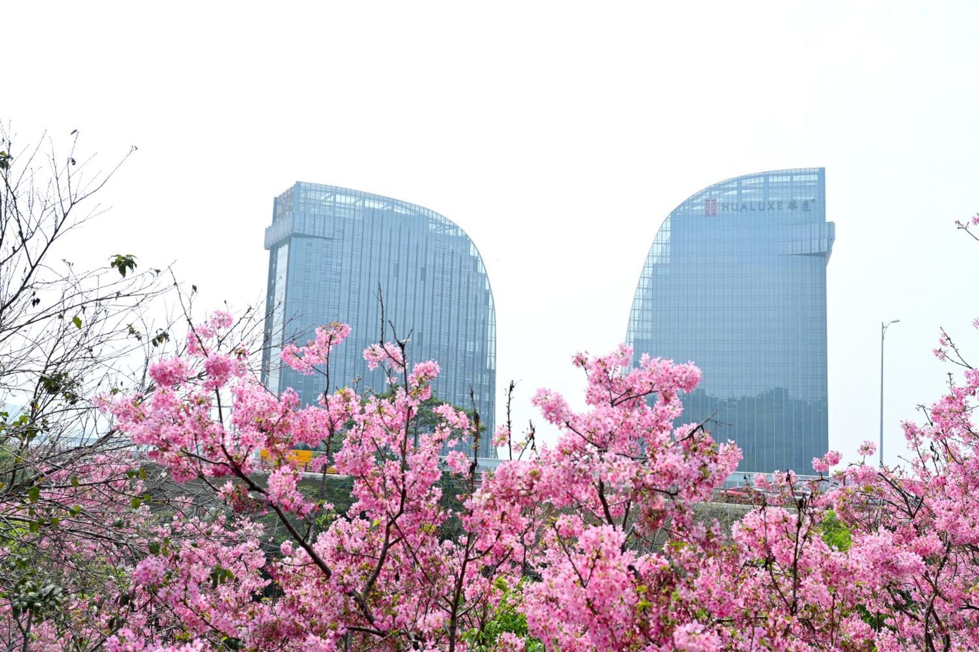 Hualuxe Xiamen Haicang Habour View 외부 사진